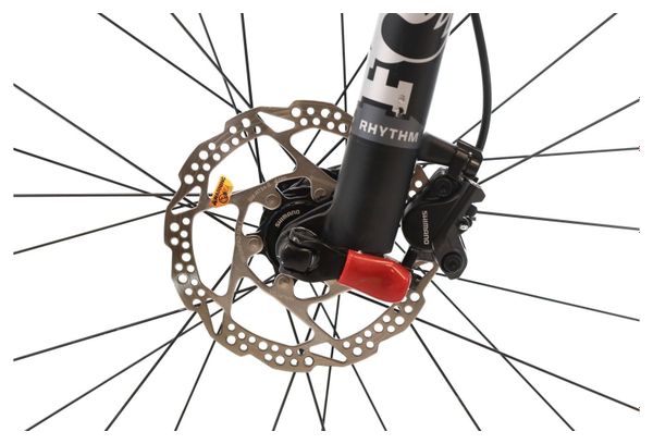 Produit reconditionné · Massi Team 29 Replica / Vélo VTT | Très bon état