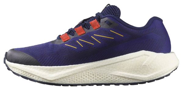 Chaussures Running Salomon Aero Blaze 3 GRVL Bleu Homme