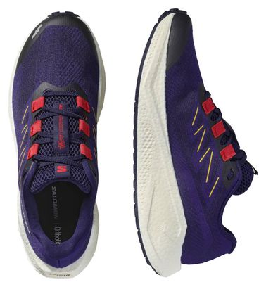 Chaussures Running Salomon Aero Blaze 3 GRVL Bleu Homme