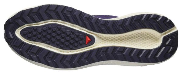 Chaussures Running Salomon Aero Blaze 3 GRVL Bleu Homme