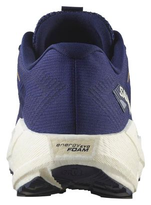 Chaussures Running Salomon Aero Blaze 3 GRVL Bleu Homme