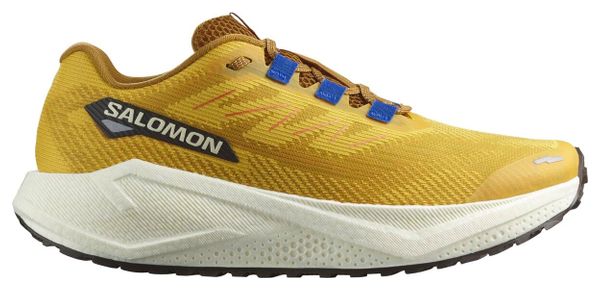 Running Shoes Salomon Aero Blaze 3 GRVL Yellow Man