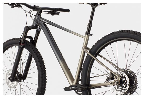 Cannondale Trail SE 1 Hardtail MTB Sram NX/SX Eagle 12S 29'' Meteor Grey