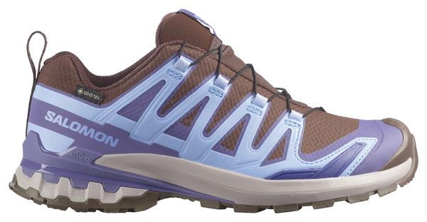 Salomon XA Pro 3D V9 GTX Trail-Schuhe Blau/Braun für Damen