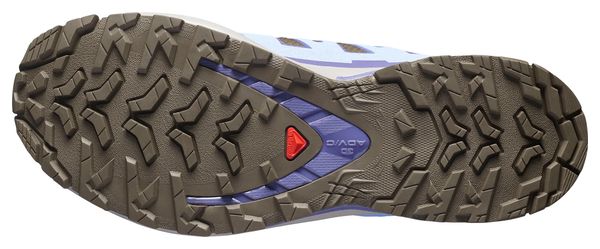Salomon XA Pro 3D V9 GTX Trail-Schuhe Blau/Braun für Damen