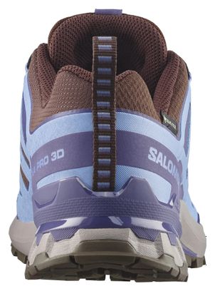 Salomon XA Pro 3D V9 GTX Trail-Schuhe Blau/Braun für Damen