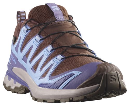 Salomon XA Pro 3D V9 GTX Trail-Schuhe Blau/Braun für Damen
