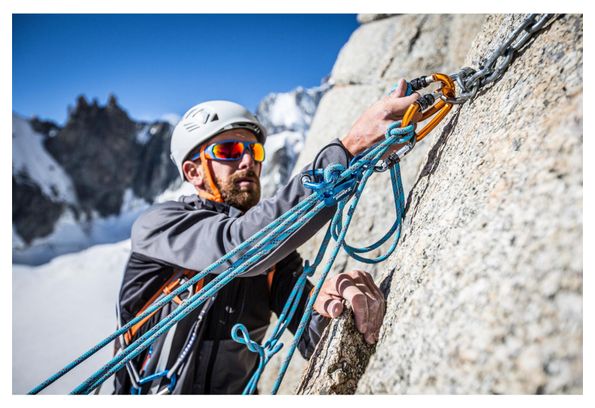 DMM Perfecto Mousqueton De Verrouillage (porte à Vis