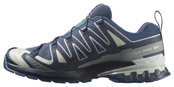 Salomon XA Pro 3D V9 GTX Trail-Schuhe Blau/Grau für Herren