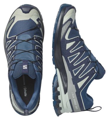 Salomon XA Pro 3D V9 GTX Trail-Schuhe Blau/Grau für Herren