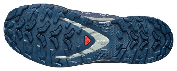 Salomon XA Pro 3D V9 GTX Trail-Schuhe Blau/Grau für Herren