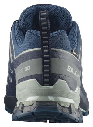 Salomon XA Pro 3D V9 GTX Trail-Schuhe Blau/Grau für Herren