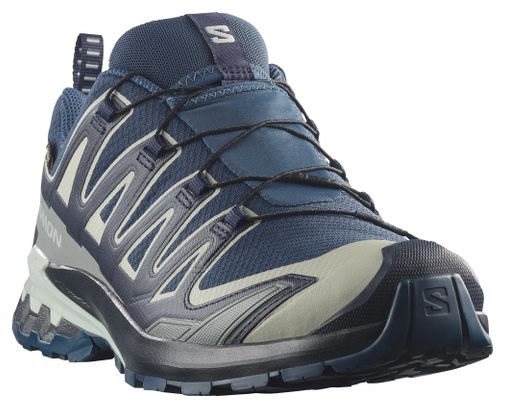 Salomon XA Pro 3D V9 GTX Trail-Schuhe Blau/Grau für Herren
