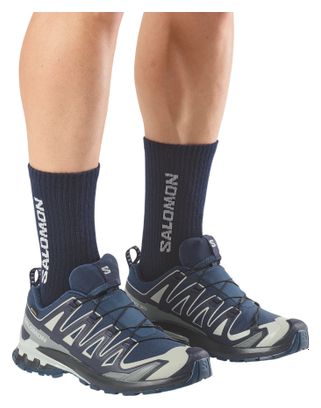 Salomon XA Pro 3D V9 GTX Trail-Schuhe Blau/Grau für Herren