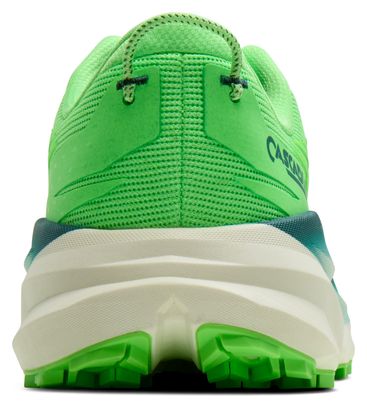 Chaussures Trail Brooks Cascadia 19 Vert Homme