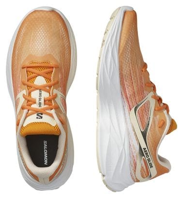 Zapatillas de running Salomon Aero Glide Naranja para hombre
