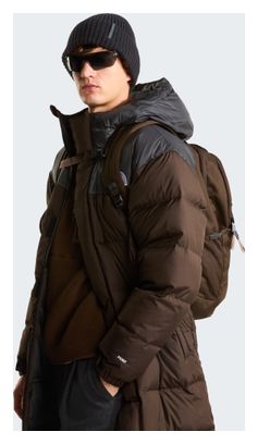 The North Face Vault 27L Backpack, Brown