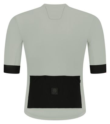 Maillot Manches Courtes Homme Rogelli Signature