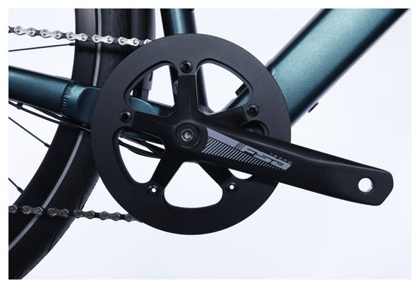 Vélo Ville Electrique Bergamont E-Sweep Tour Shimano Deore 10V Mahle 250Wh Vert 2023 - Vélo d'Exposition