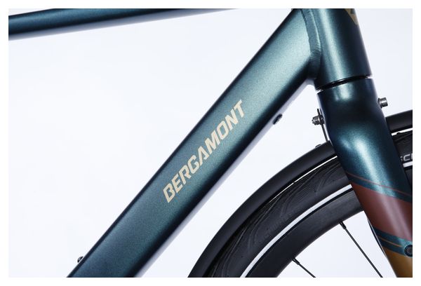 Vélo Ville Electrique Bergamont E-Sweep Tour Shimano Deore 10V Mahle 250Wh Vert 2023 - Vélo d'Exposition