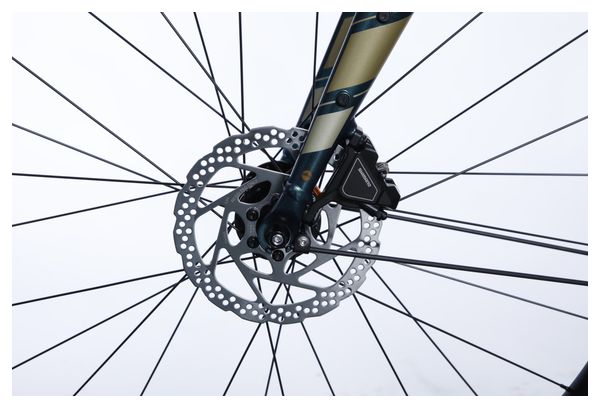 Vélo Ville Electrique Bergamont E-Sweep Tour Shimano Deore 10V Mahle 250Wh Vert 2023 - Vélo d'Exposition