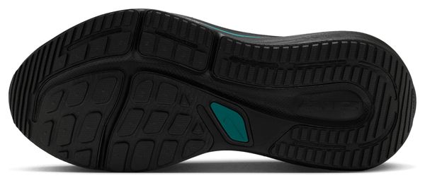 Nike Winflo 12 Laufschuhe Blau/Grau für Herren