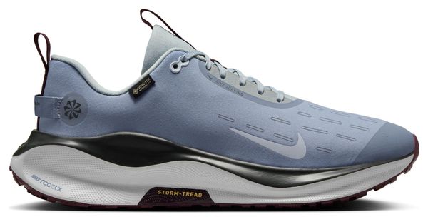 Nike ReactX Infinity Run 4 GTX Heren Blauw