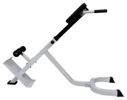 Banc de musculation du dos acier sport fitness musculation blanc et noir 02_0000032