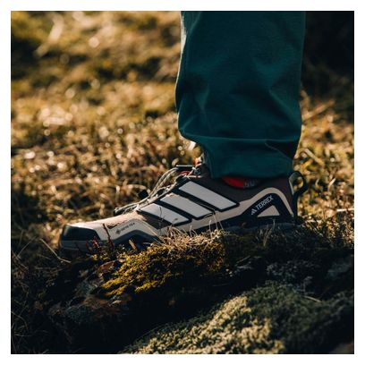 Scarpe da trekking adidas Terrex Skychaser GTX marroni da donna
