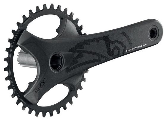 Campagnolo Ekar GT Ultra Torque 36T 1x13S Gravel Crankset