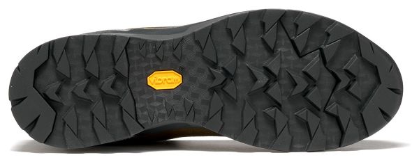 Chaussures de Randonnée Asolo Greenwood Pro GV Marron Homme