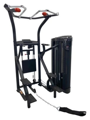 Inspire Station DOUBLE Chin Up