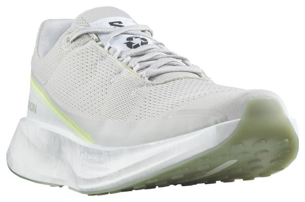 Chaussures de Running Salomon Index 2.0 Gris Blanc