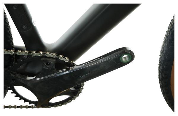 Gravel Bike Wilier Triestina Rave SLR Campagnolo Ekar 13V 700 mm Noir/Gris Mat