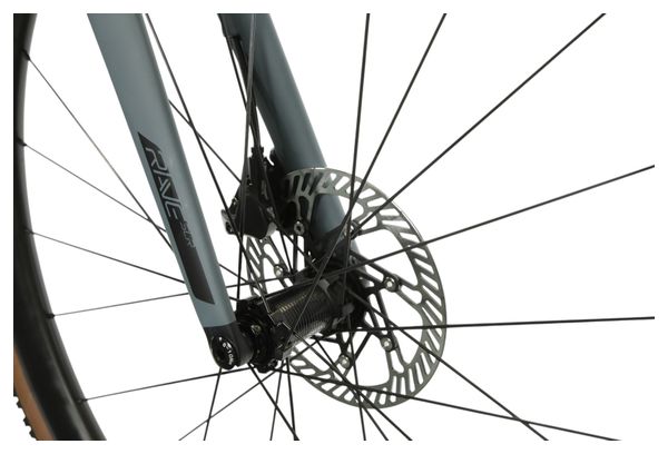 Gravel Bike Wilier Triestina Rave SLR Campagnolo Ekar 13V 700 mm Noir/Gris Mat