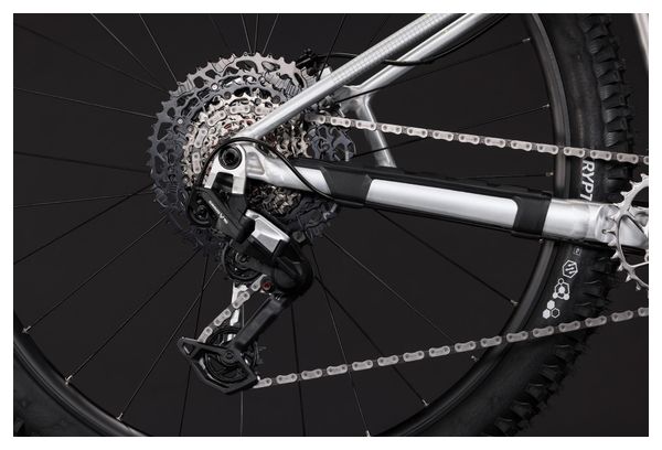Cube Reaction TM Pro Sram 12V 29'' Mountain Bike, Raw Gray, 2027