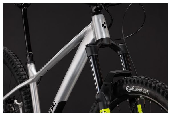 Cube Reaction TM Pro Sram 12V 29'' Mountain Bike, Raw Gray, 2027