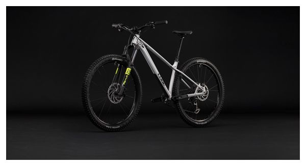 Cube Reaction TM Pro Sram 12V 29'' Mountain Bike, Raw Gray, 2027