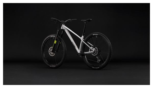 Cube Reaction TM Pro Sram 12V 29'' Mountain Bike, Raw Gray, 2027