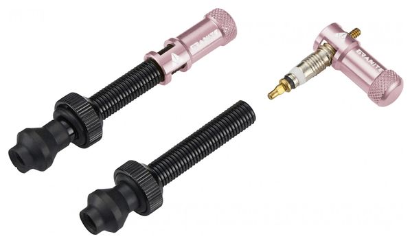 Granite Design Juicy Nipple 60 mm Tubeless Valves with Pink Bus Remover Caps