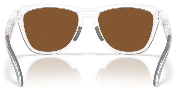 Oakley Frogskins Range XL Goggles - Matte Clear / Prizm Violet / Ref : OO9503-05