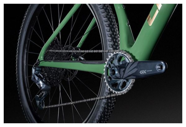 Lapierre Prorace CF 7.9 Hardtail-Mountainbike, Sram 12-Gang, 29", grün