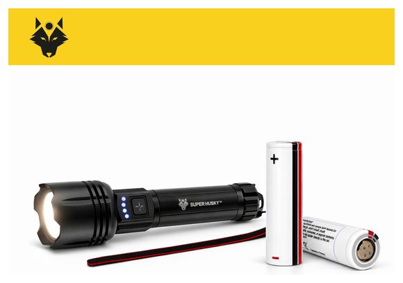 Lampe torche MAX100 - 800 lumens - Rechargeable