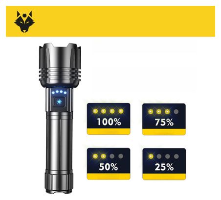 Lampe torche MAX100 - 800 lumens - Rechargeable