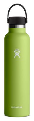 Hydro Flask Standard Flex Cap Water Bottle 621ml Seagrass Green