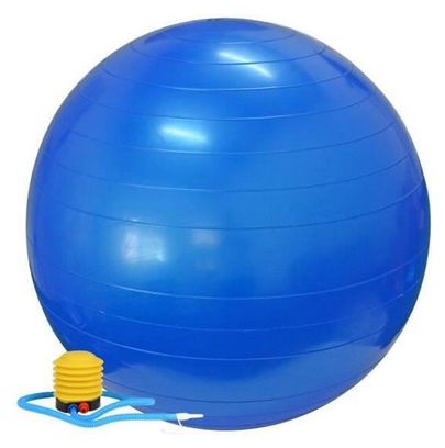 Swiss Ball Ballon de Fitness Gymnastique pour Pilates Yoga Renforcement du Dos avec Pompe Ballon - Bleu Diamètre 65 cm Taille S