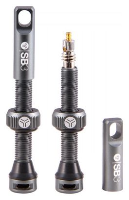  Valvole tubeless SB3 Kroma Presta grigie