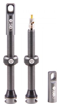  Valvole tubeless SB3 Kroma Presta grigie