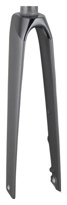 Trek Rigid Fork 2021 Madone SLR 700c Grey