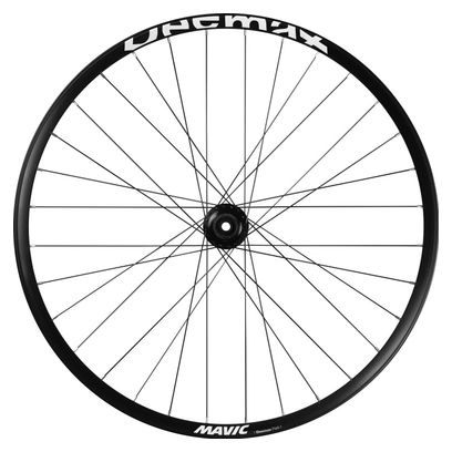 Mavic Deemax Park 29'' Wheelset | 15x110 - 12x148 mm | 6 bolts | 2024